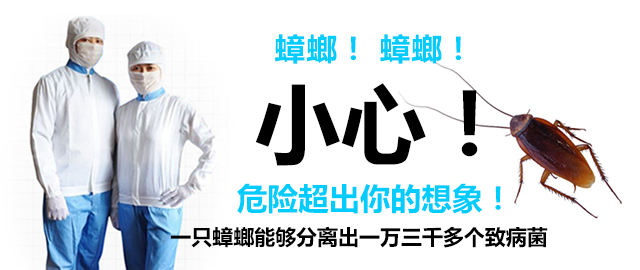 日防夜防，蟑螂难防！----注意开展“八查”