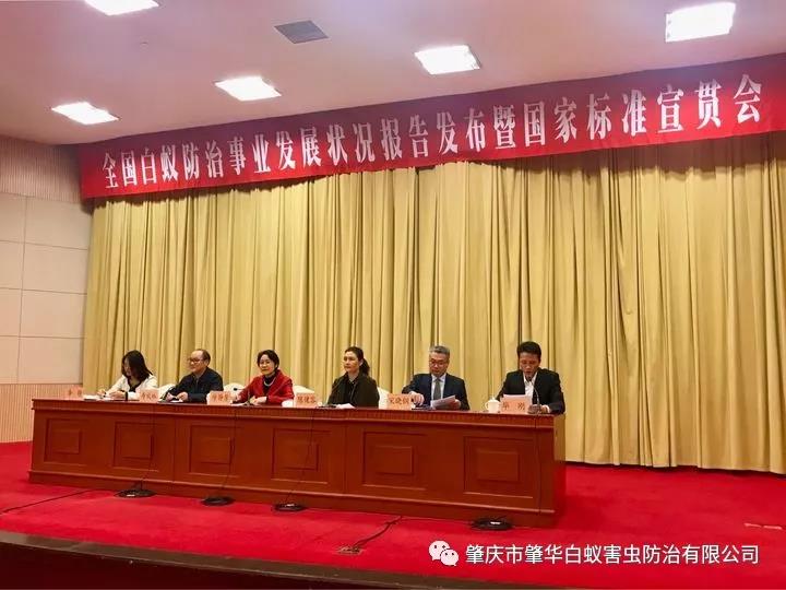 白蚁不危害现代建筑？这份全国白蚁防治报告说你错了！