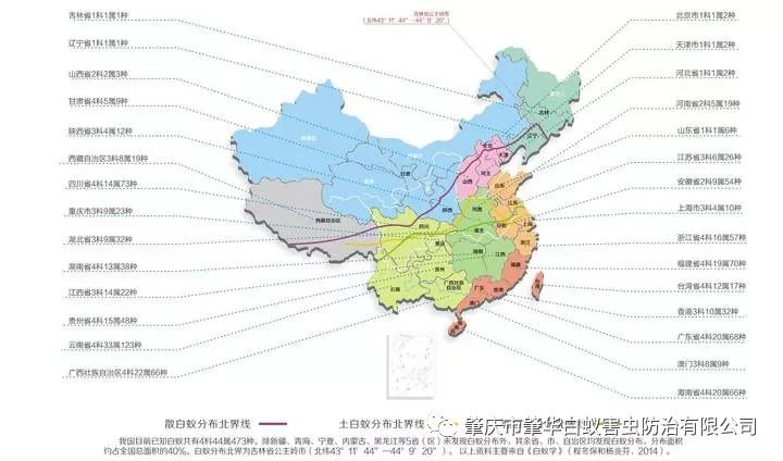 白蚁不危害现代建筑？这份全国白蚁防治报告说你错了！