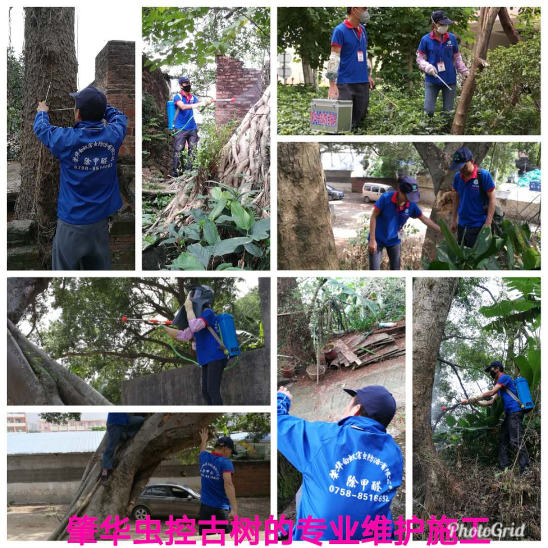 微信图片_20180904115705.jpg