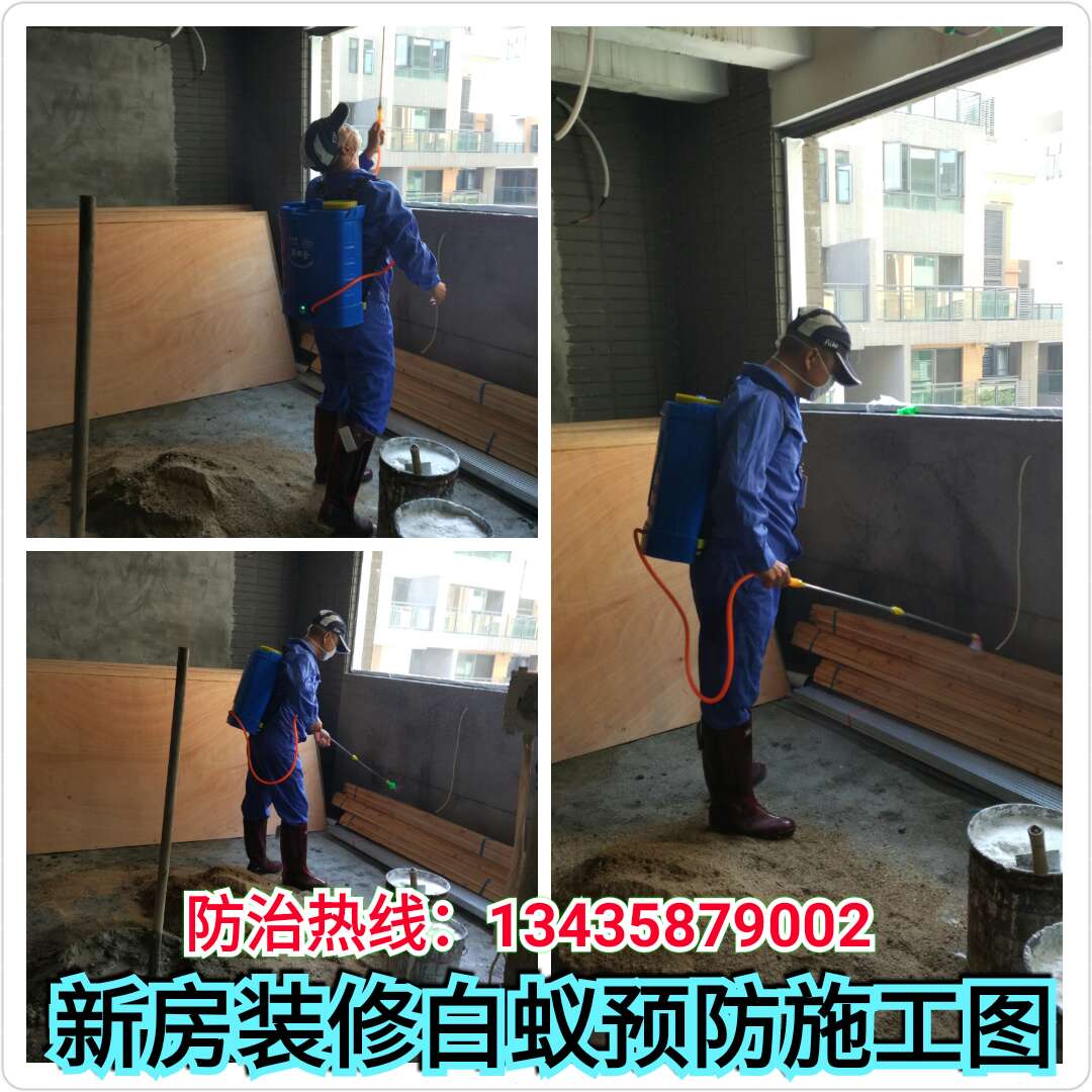 四会灭白蚁，找肇华虫控！为你解决白蚁困扰！！！