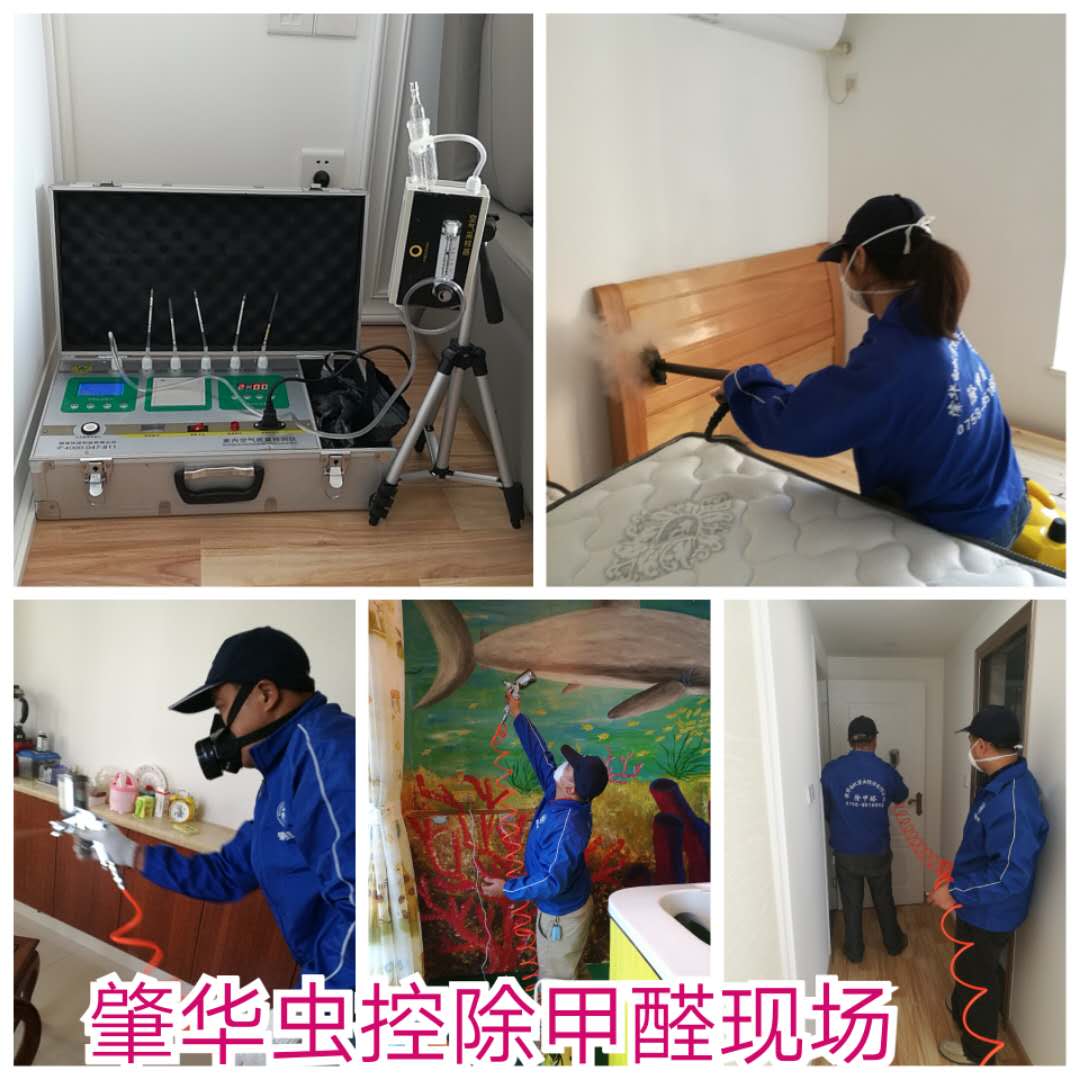 新房装修之后，甲醛从哪里来呢