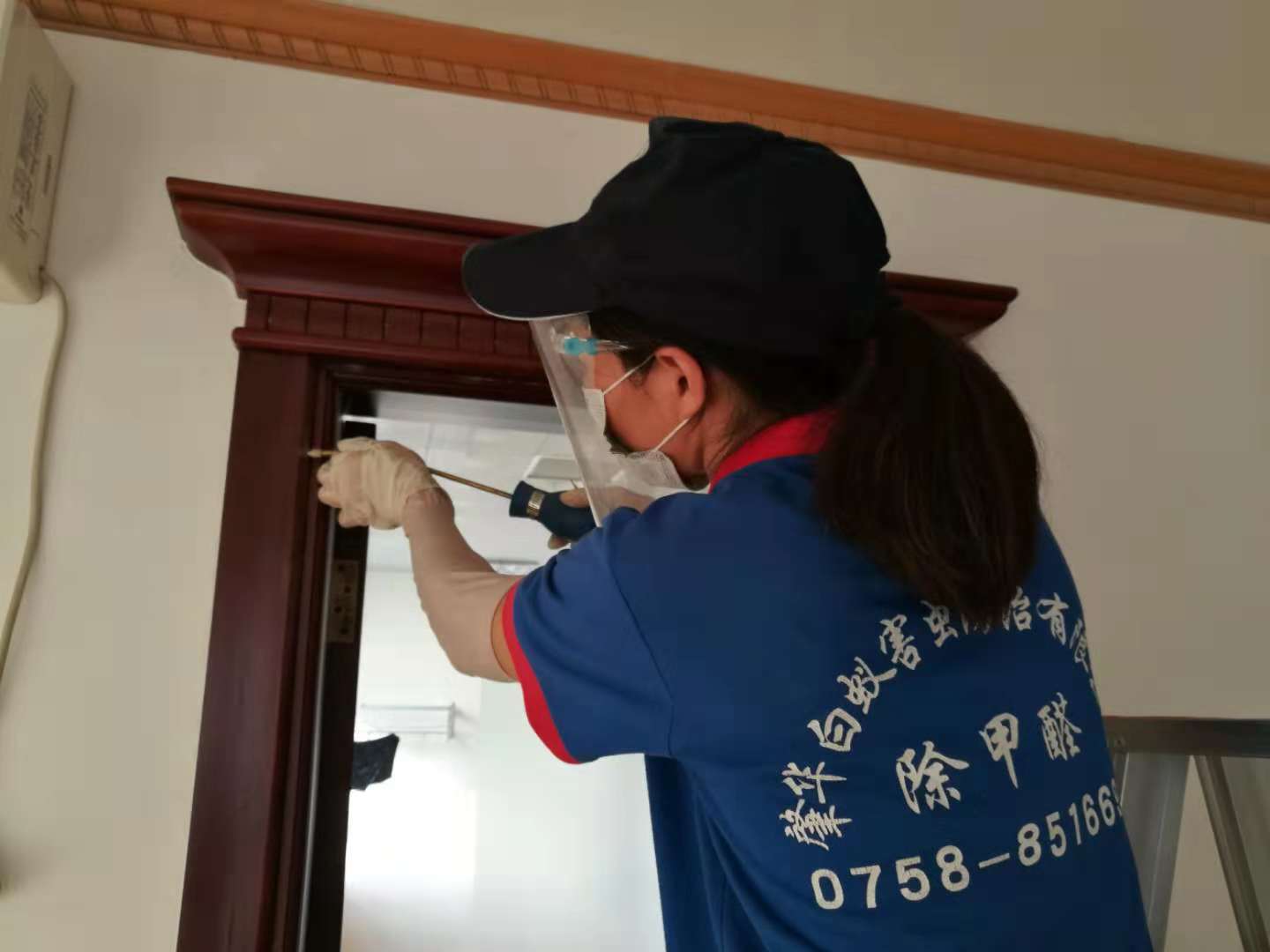 白蚁在家中“安窝置业”，端州的李小姐欲哭无泪