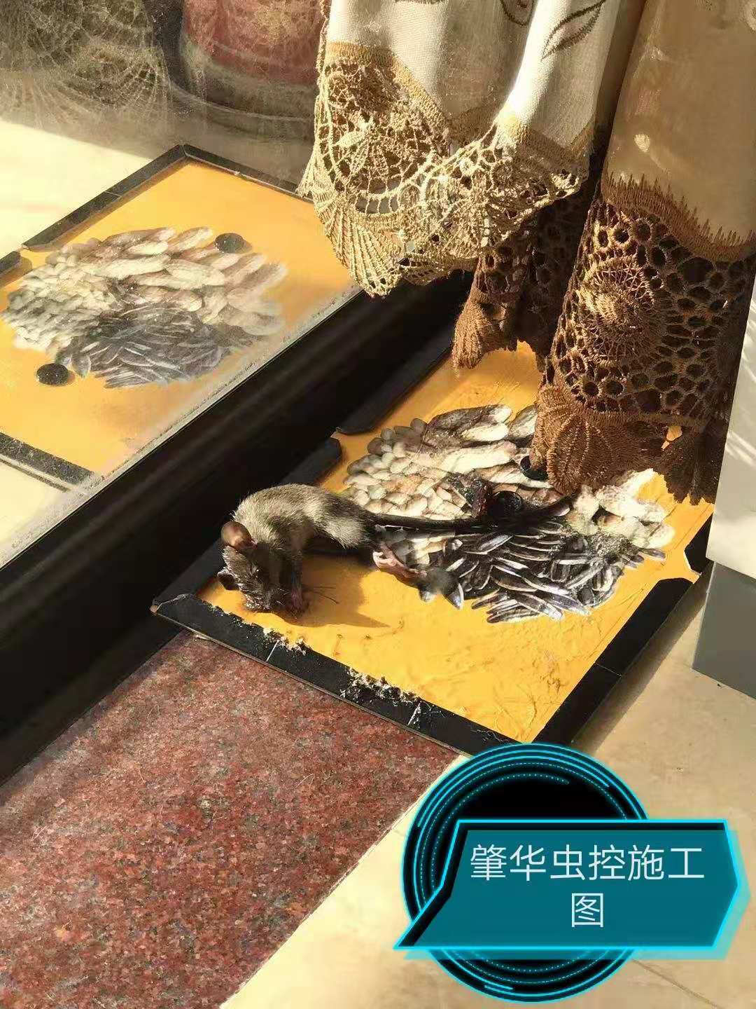 微信图片_20181101114228.jpg