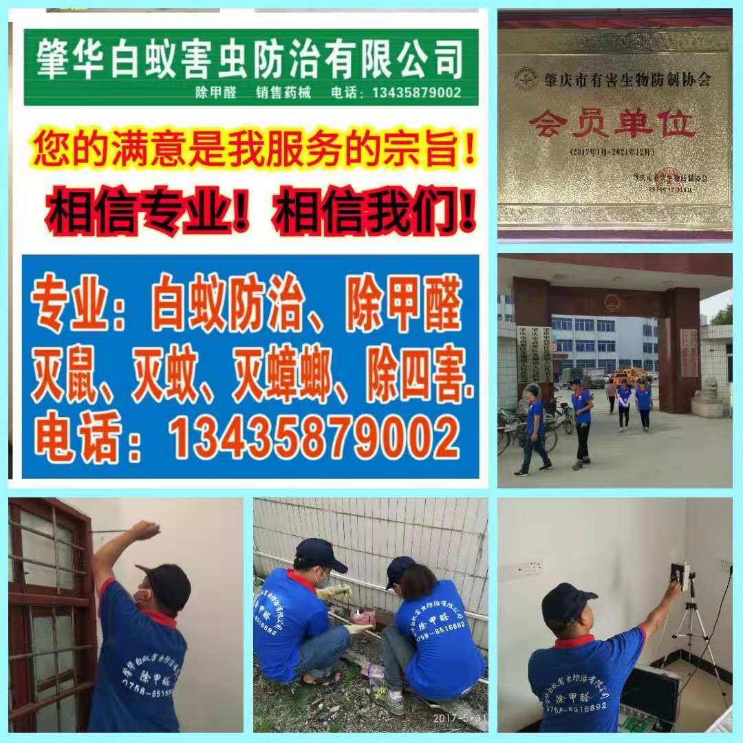 端州白蚁防治公司专家向你支招：预防水蚁繁殖