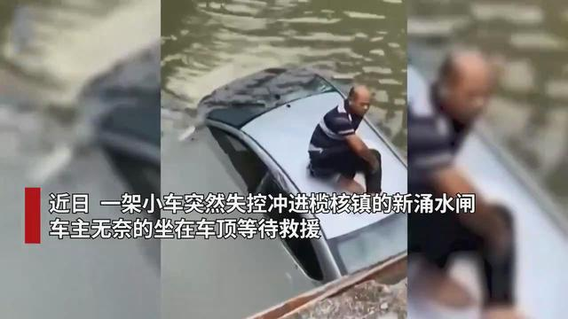 毒蚂蚁入侵