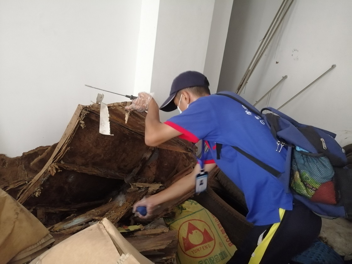 肇庆白蚁防治白蚁对家庭危害的损失