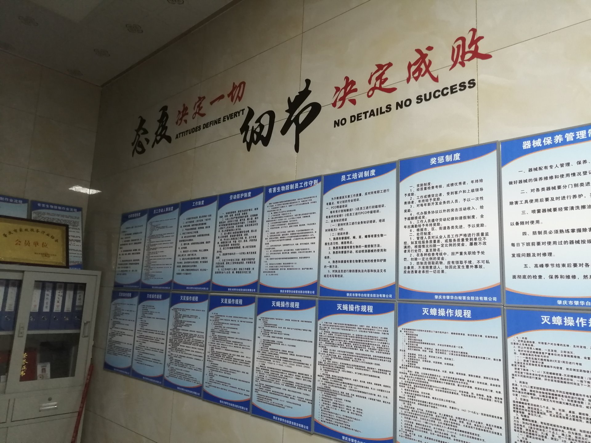 家里发现有白蚁常见的白蚁种类及危害