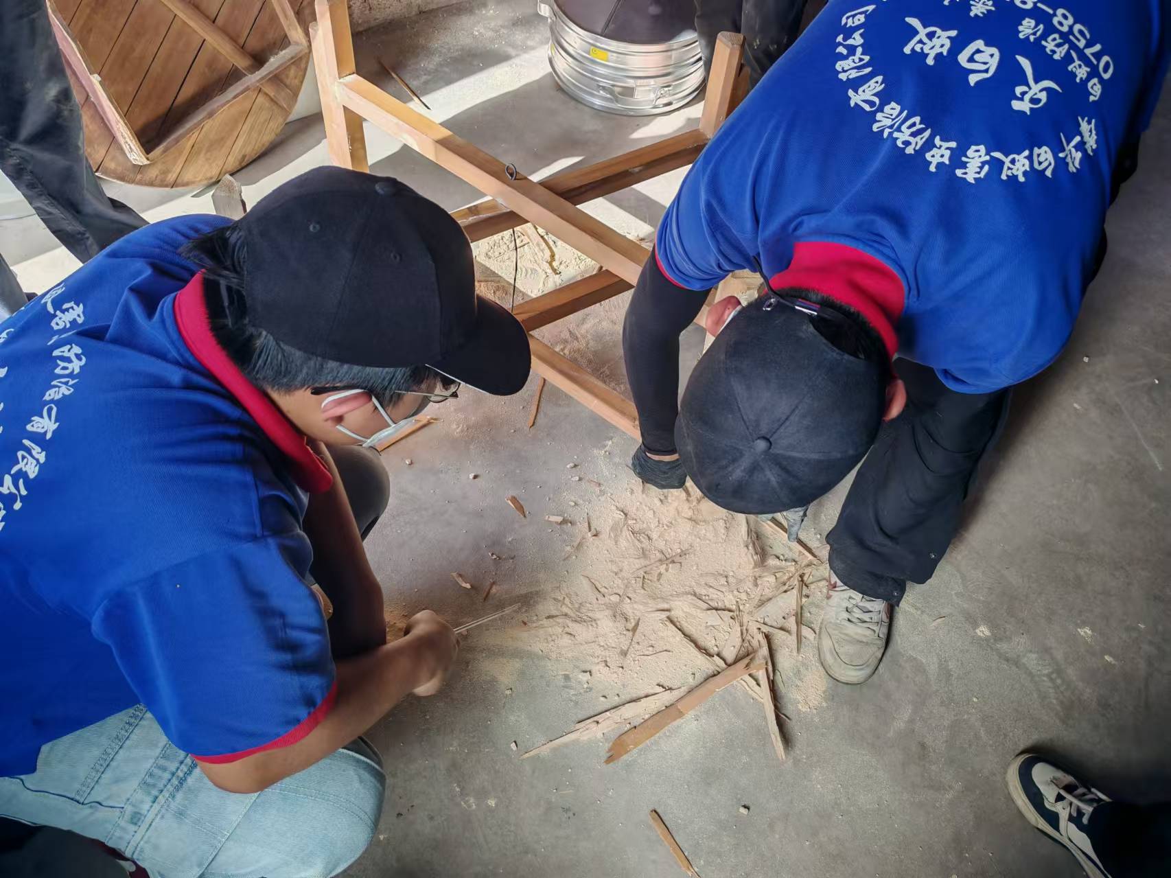 蛀木虫的危害主要有哪些
