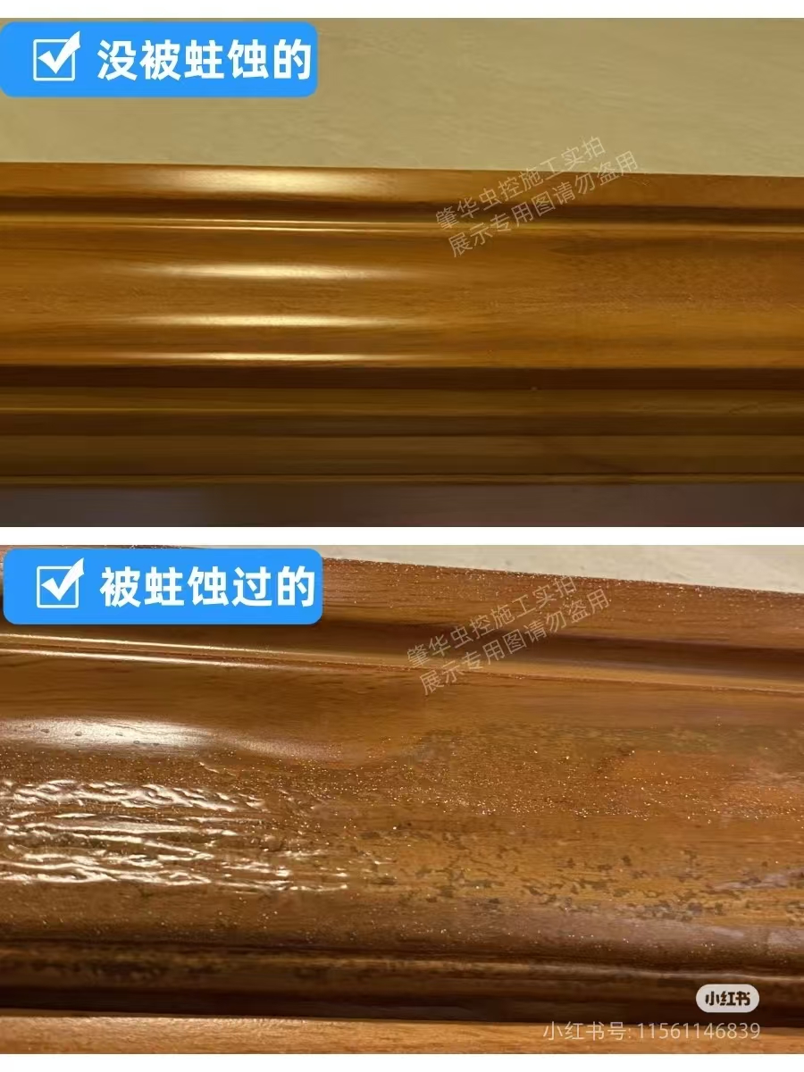 如何辨识家中木制品是否有白蚁侵蚀